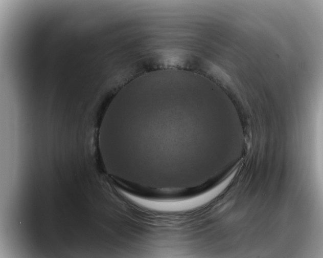 X0000088690462200706071523