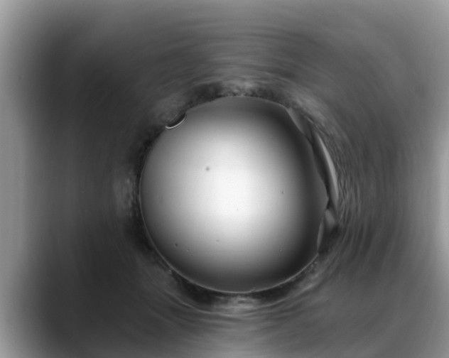 X0000088690463200706071523
