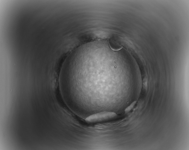 X0000088690464200706071523