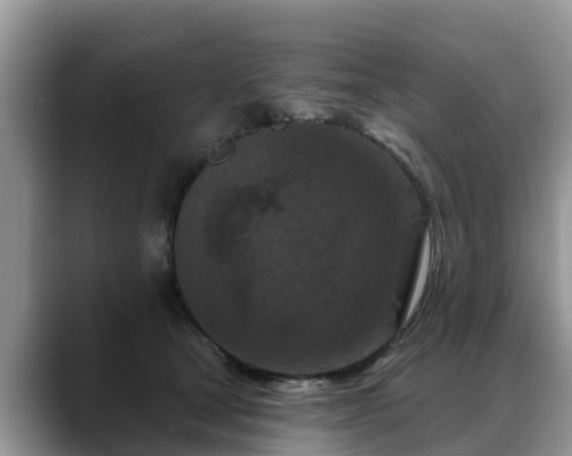 X0000088690465200706071523