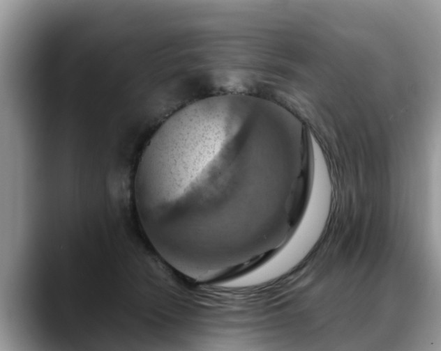 X0000088690466200706071523