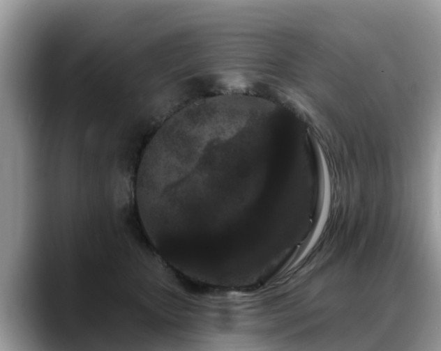 X0000088690467200706071523