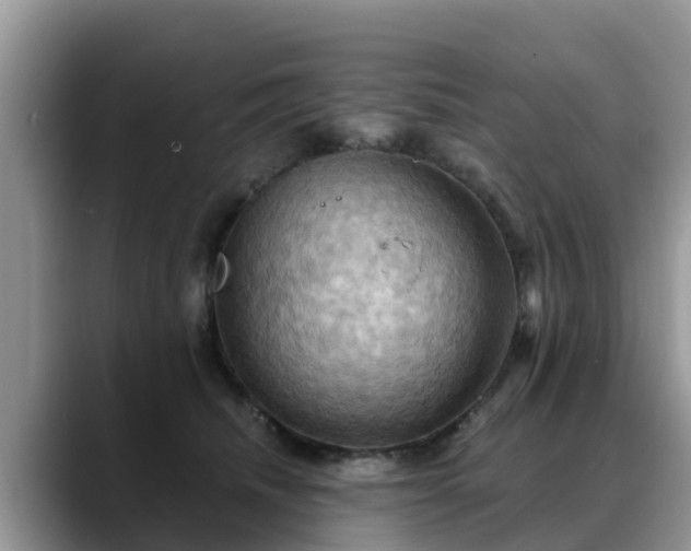 X0000088690468200706071523