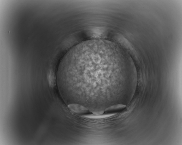 X0000088690469200706071523