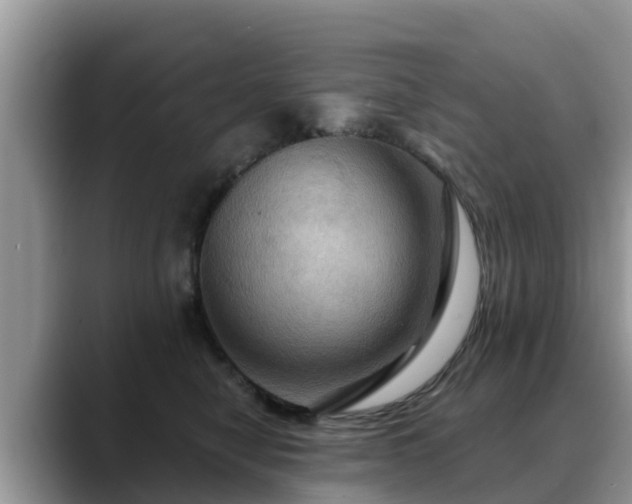 X0000088690470200706071523