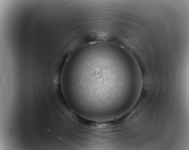 X0000088690472200706071523