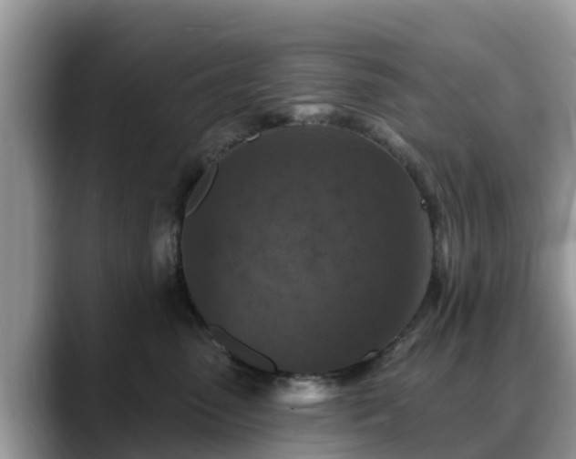 X0000088690475200706071523