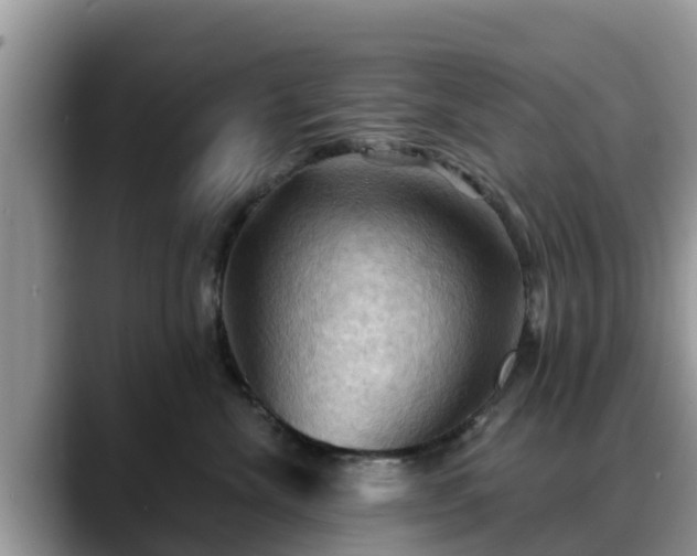 X0000088690476200706071523