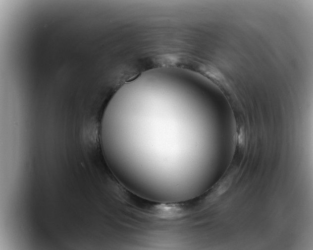 X0000088690477200706071523