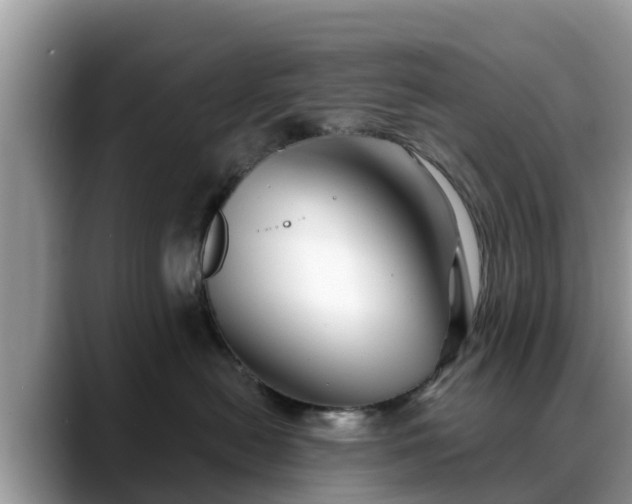 X0000088690478200706071523