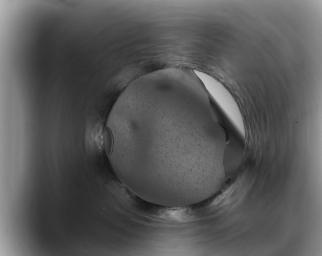 X0000088690479200706071523