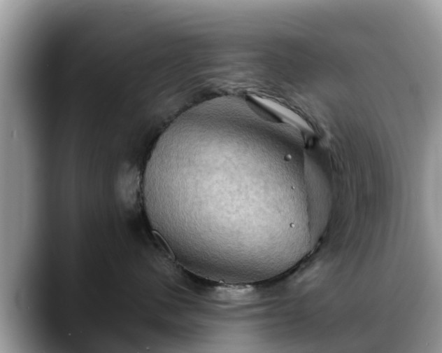 X0000088690480200706071523