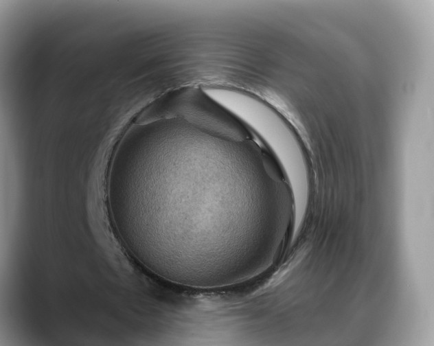 X0000088690481200706071523