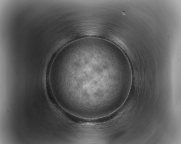 X0000088690482200706071523