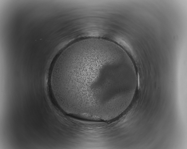 X0000088690483200706071523