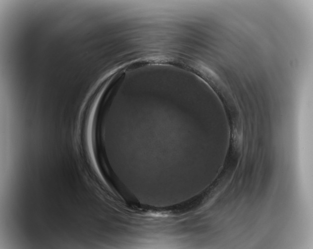 X0000088690484200706071523