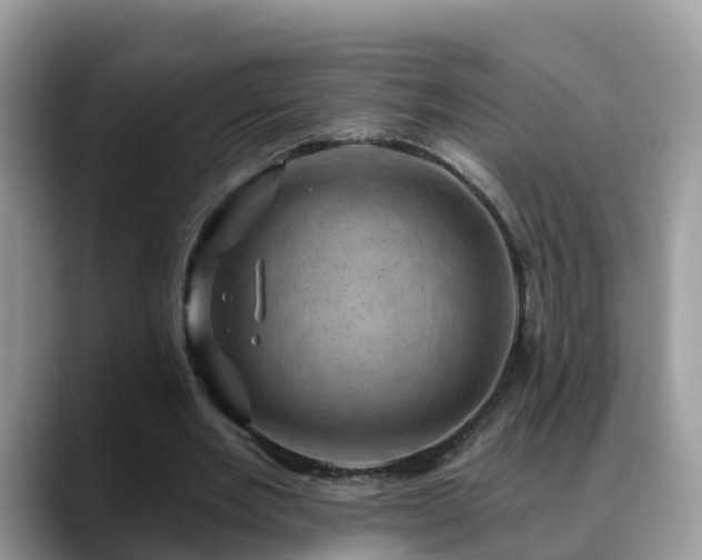X0000088690485200706071523