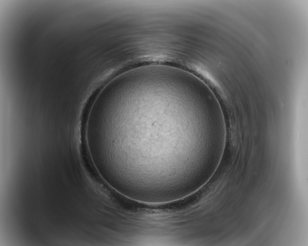 X0000088690486200706071523