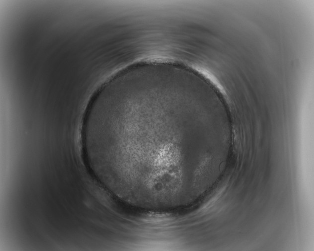 X0000088690487200706071523