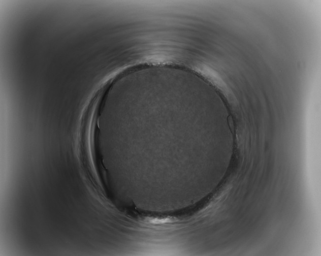 X0000088690488200706071523