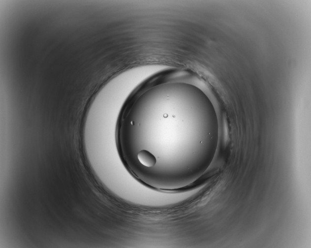 X0000088690489200706071523