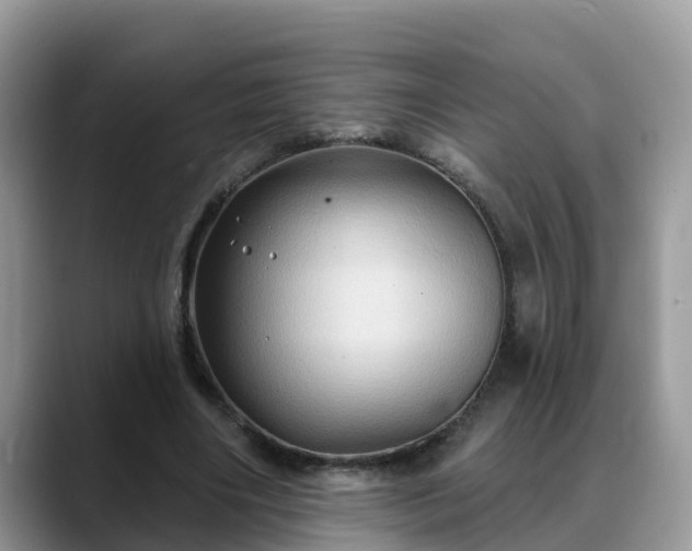 X0000088690490200706071522