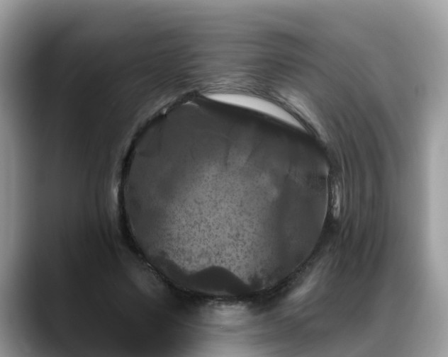 X0000088690491200706071522