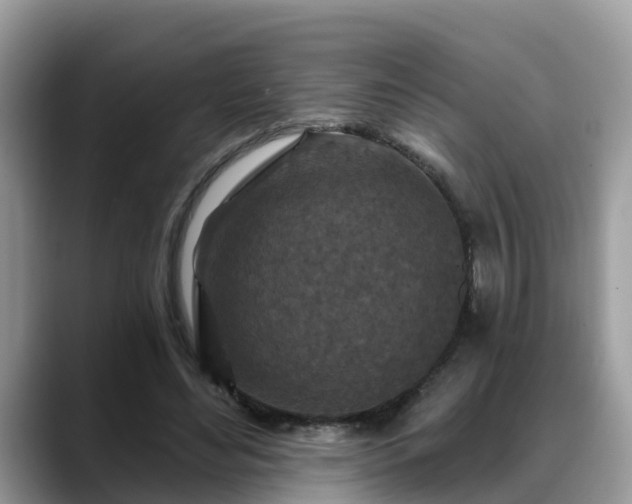 X0000088690492200706071522