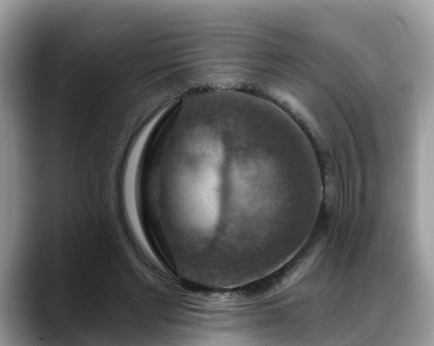 X0000088690493200706071522