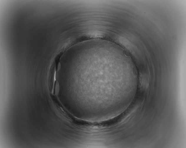 X0000088690494200706071522