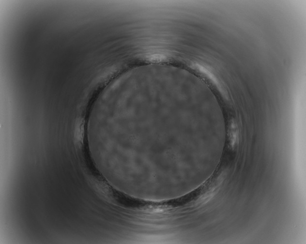 X0000088690495200706071522