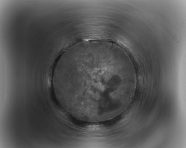 X0000088690499200706071522