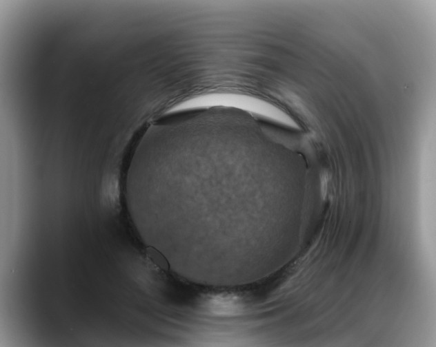 X0000088690500200706071522