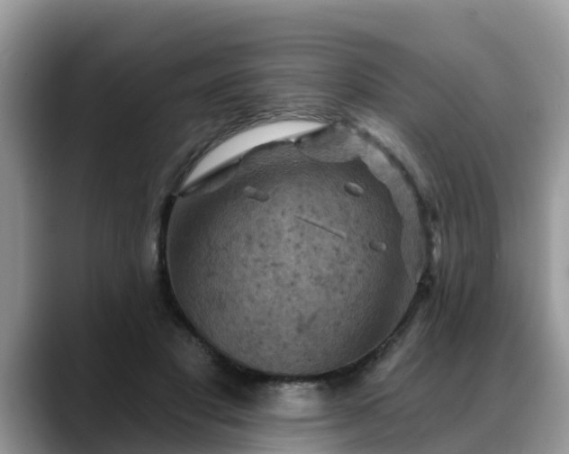X0000088690501200706071522