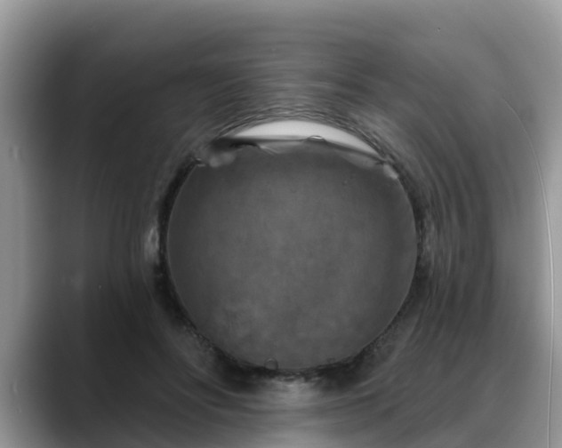 X0000088690502200706071522