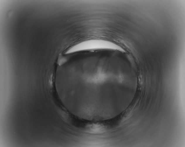 X0000088690503200706071522