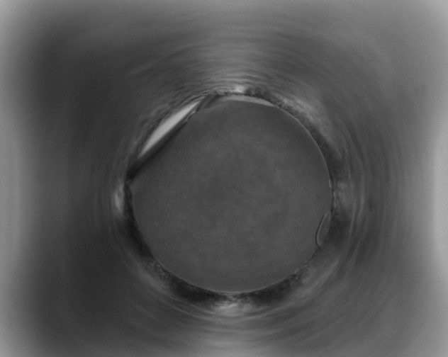 X0000088690504200706071522