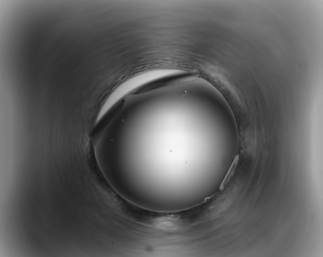 X0000088690505200706071522