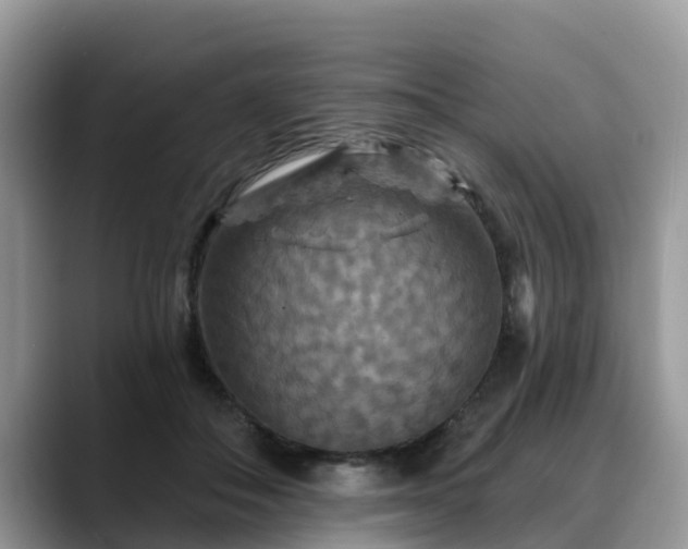 X0000088690506200706071522