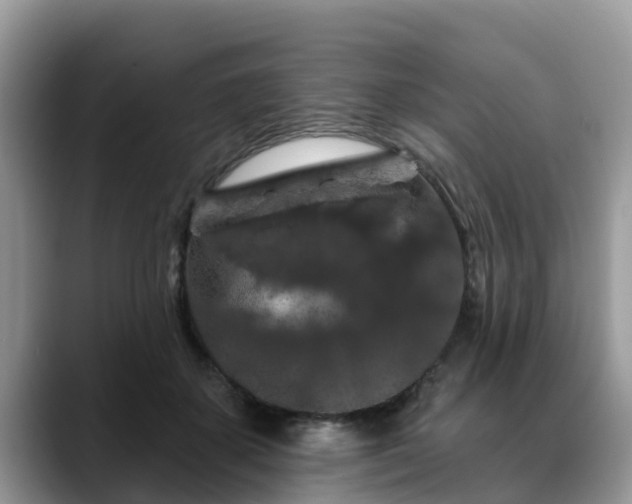 X0000088690507200706071522