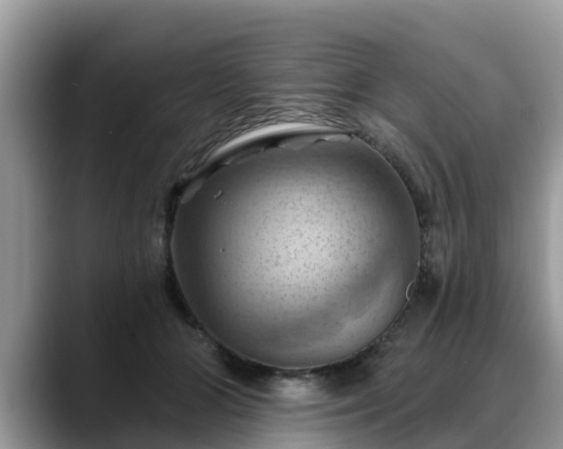X0000088690510200706071522