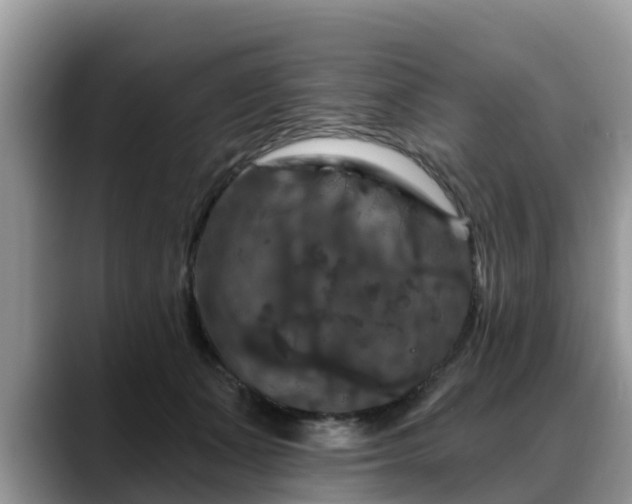X0000088690511200706071522