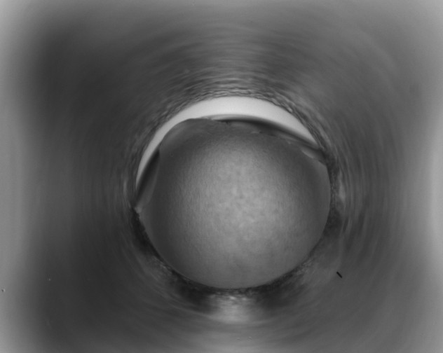X0000088690512200706071522