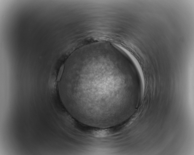 X0000088690513200706071522