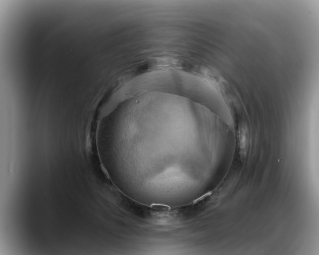X0000088690516200706071522