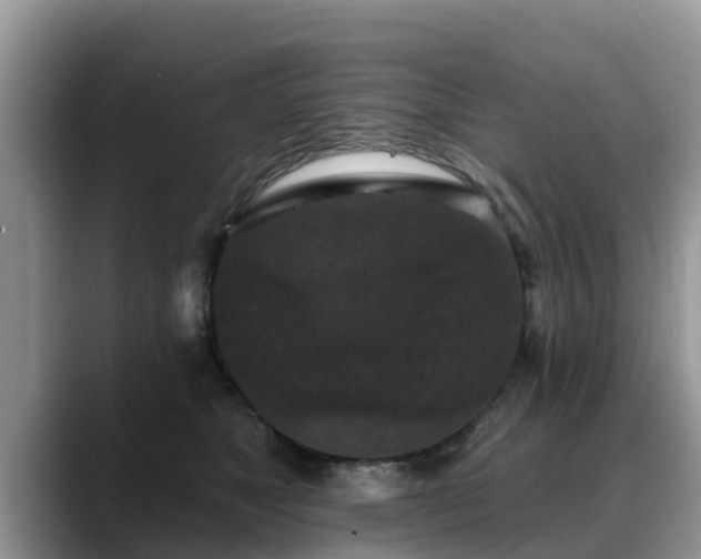 X0000088690517200706071522
