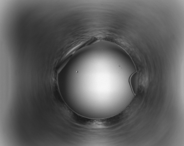 X0000088690518200706071522