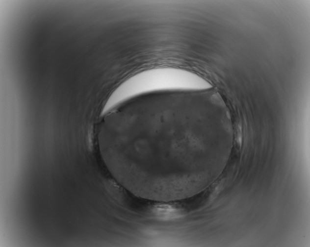 X0000088690519200706071522