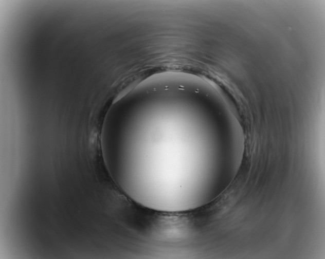 X0000088690521200706071522