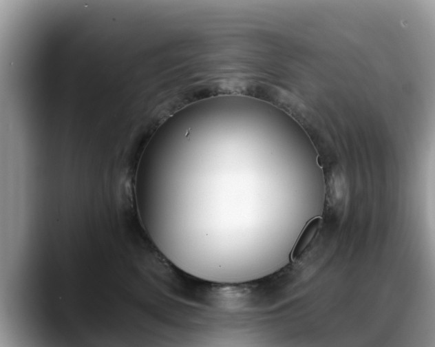 X0000088690522200706071522